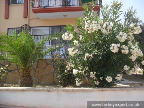Villa in Kusadasi Ladies Beach met 4 kamers en tuin