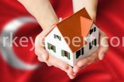 step by step property buying2