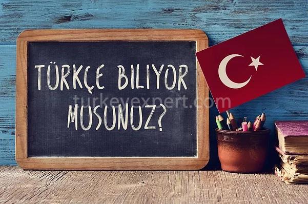 turkish residency vs turkish citizenship8
