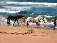 horse safari kusadasi