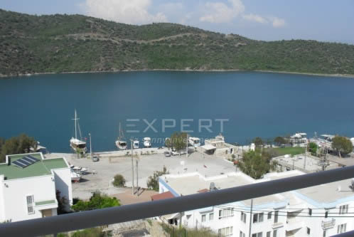 Independent off-plan villa with private infinity swimming pool
