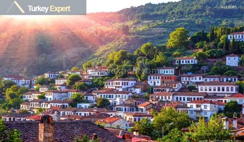 Olive grove for sale in Selcuk Sirince