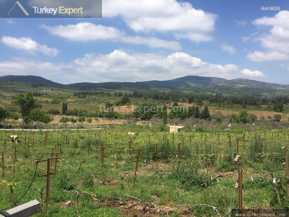 Farmland in Turkey for sale with a farm house