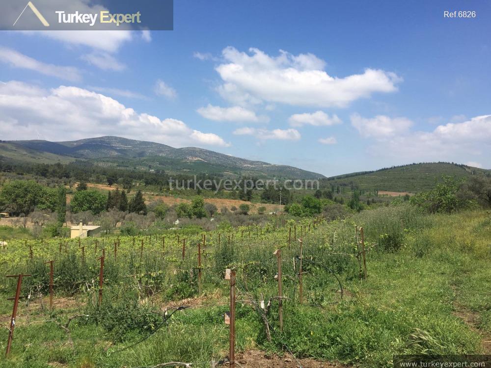 Farmland in Turkey for sale with a farm house