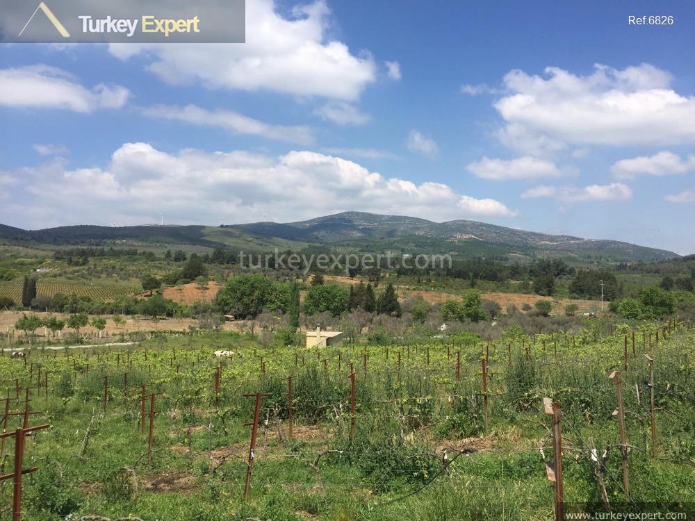 Farmland in Turkey for sale with a farm house
