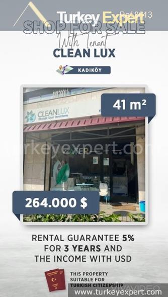 commercially rented properties in kadikoy with usd income suitable for1