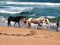 horse safari in Kusadasi